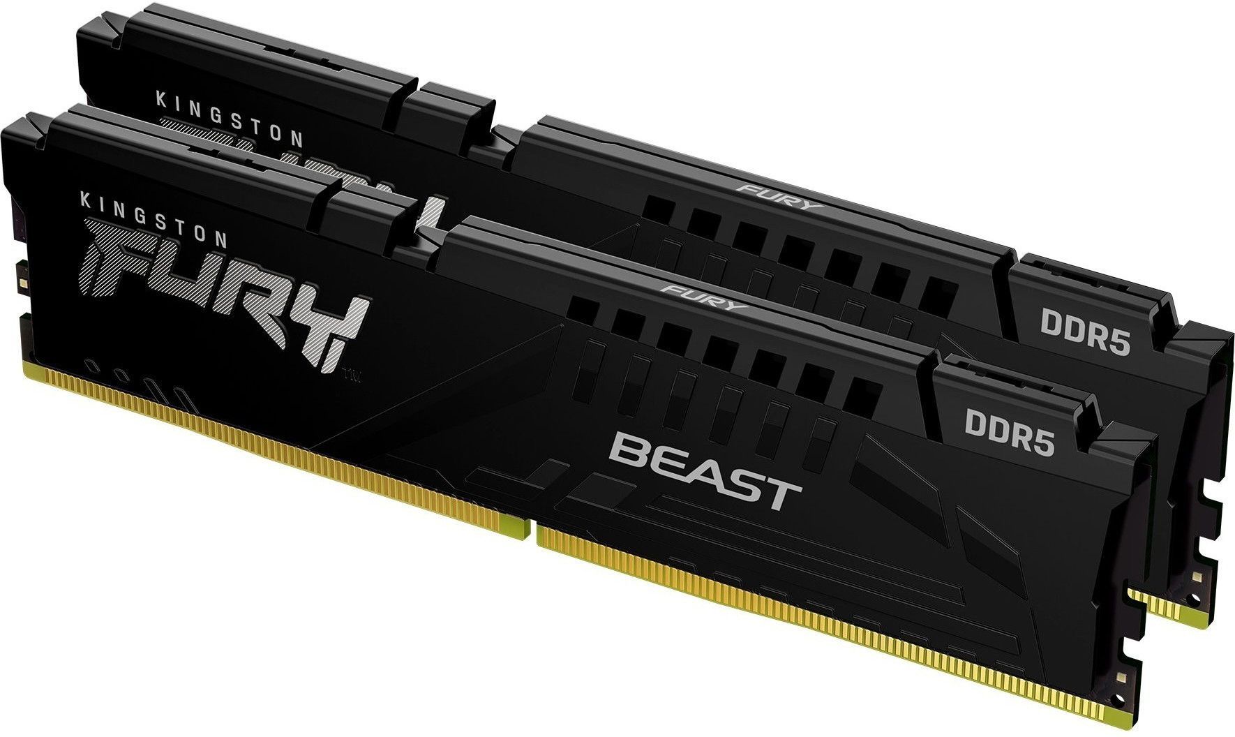 Память оперативная Kingston FURY Beast Black EXPO